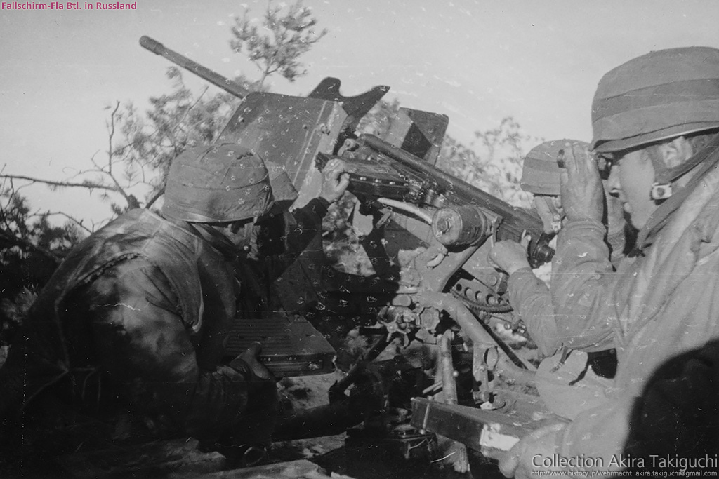 2cm Flak identification MissingLynx
